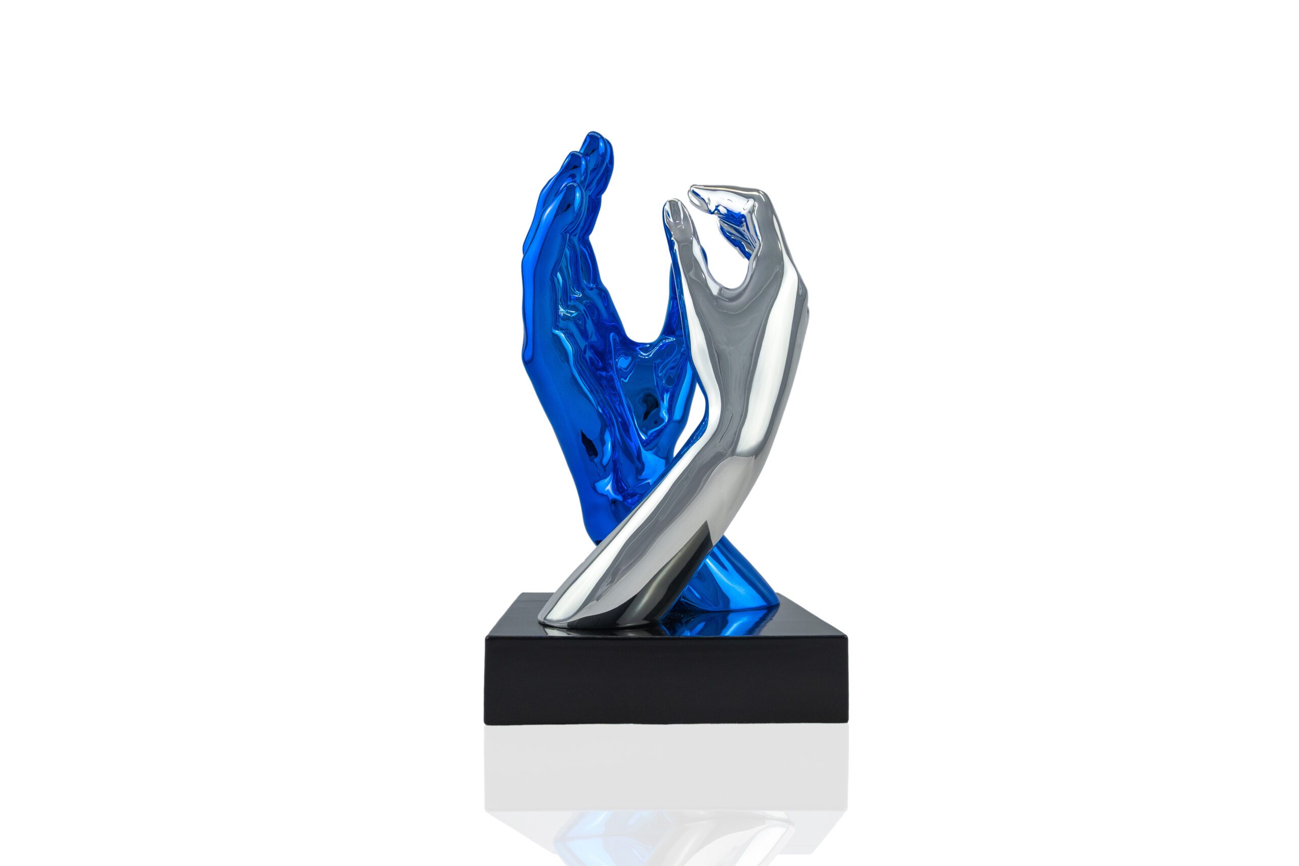 L'unione blu e argento - immagine 3